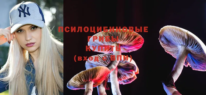 цена наркотик  Северск  Псилоцибиновые грибы Psilocybe 